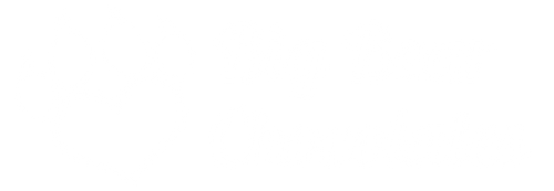 BIg Bear Chocolates