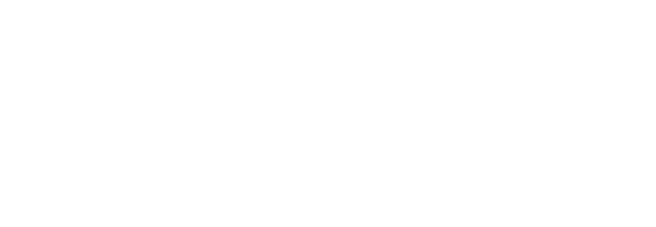 BIg Bear Chocolates